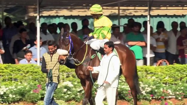 You can only legally bet on horse races in India
